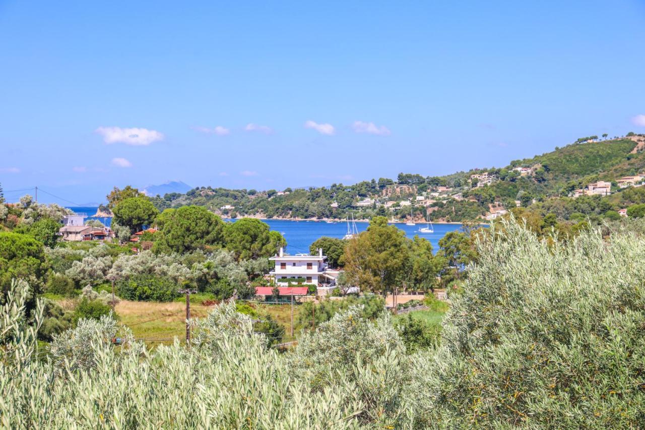 Pandora Studios Skiathos コリオス エクステリア 写真